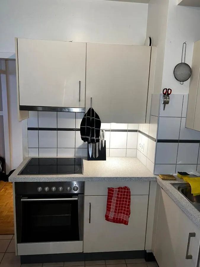 Апартаменты Beautiful Large Studio In Center Of Geneva Free Wifi Швейцария