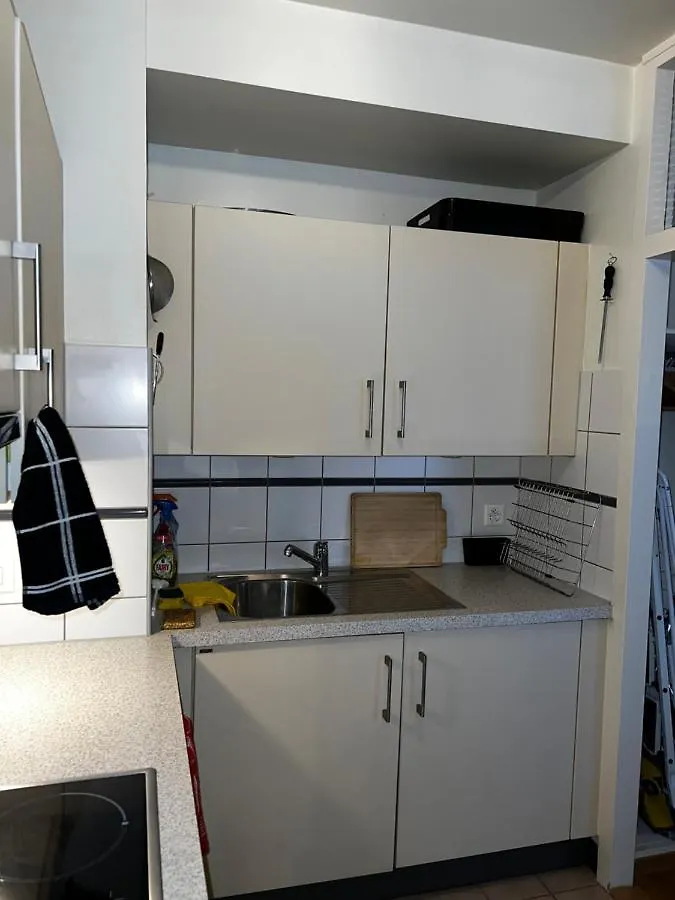 Апартаменты Beautiful Large Studio In Center Of Geneva Free Wifi
